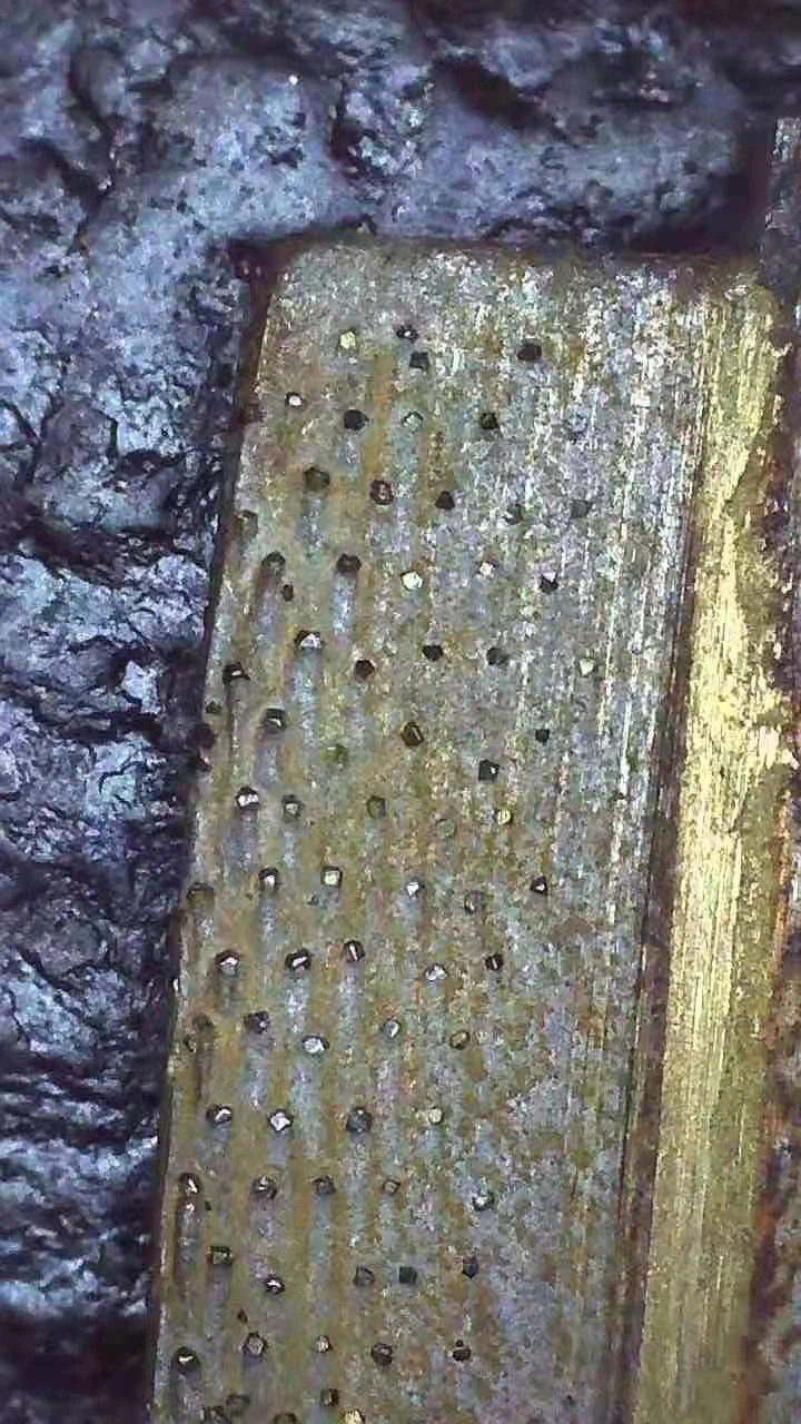 Diamond saw blade for granite (8)